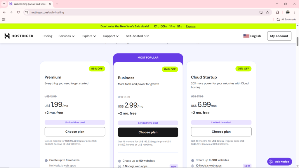 Hostinger Web Hosting