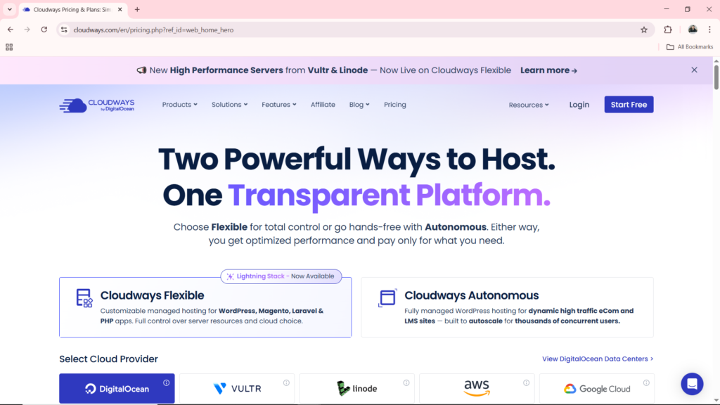 Cloudways Web Hosting